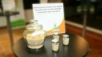 Los extractos de yerba mate están ganando atención como una alternativa prometedora para desarrollar nuevos productos